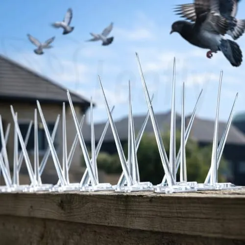 Anti-Bird Spikes